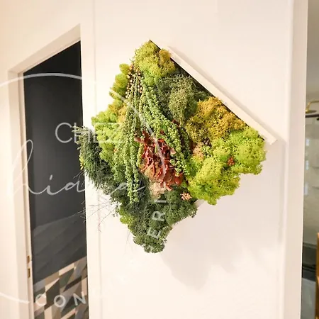 Bail Mobilite - Feel At In - Chic & Cozy Apartment *